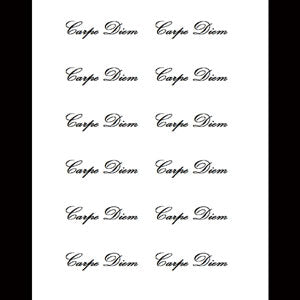 Carpe Diem or Grateful Set of 12 Removable & Temporary Tattoos Script Font 2.5" wide by 1/2" tall